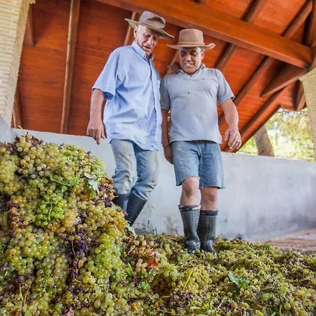 Villa Aneli Luxury Villas-villa Anastasia *