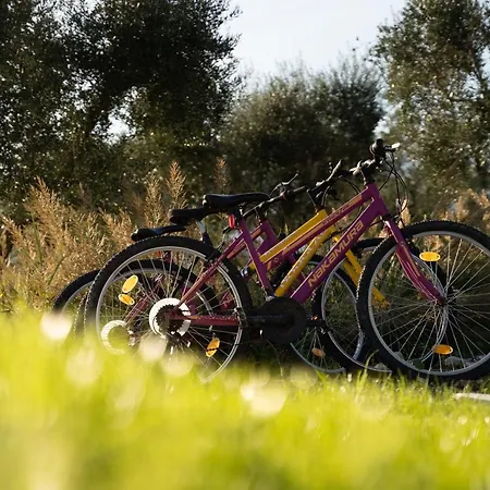 Aneli Luxury Villas-villa Anastasia וילה *