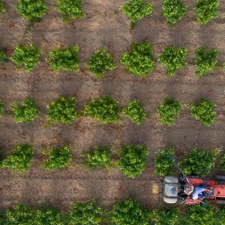 Aneli Luxury Villas-villa Anastasia וילה