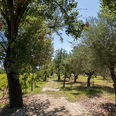Aneli Luxury Villas-villa Anastasia Villa