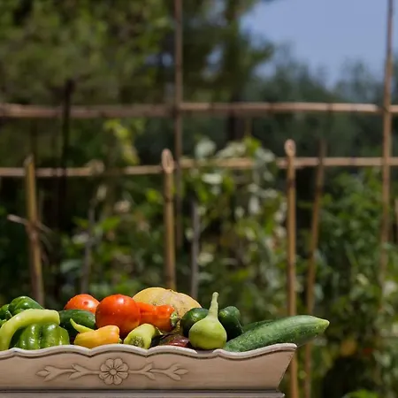 וילה Aneli Luxury Villas-villa Anastasia *