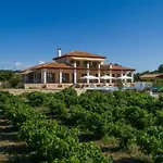 Villa Aneli Luxury Villas-villa Anastasia